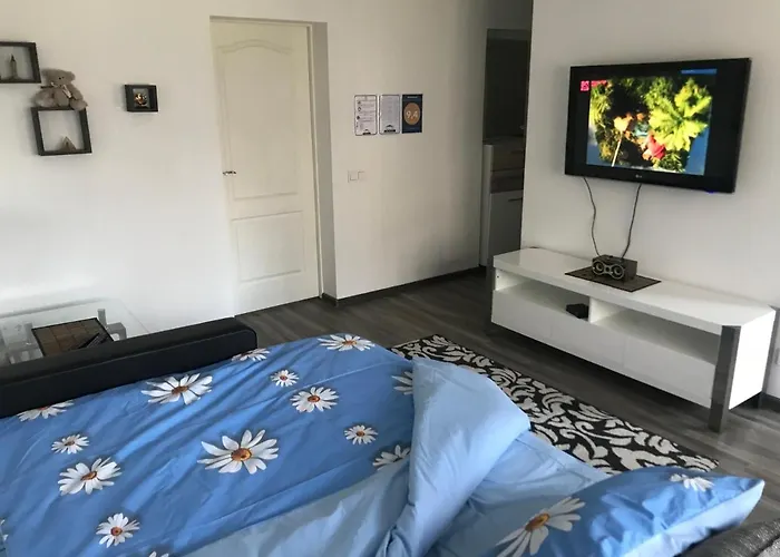 Fine Apartment